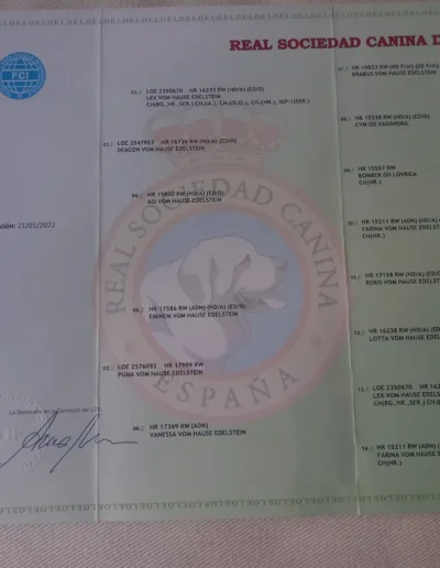 Isla Can Badal documento pedigree