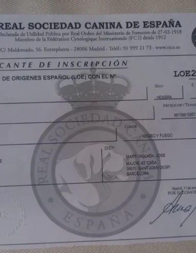 lya can badal documento pedigree
