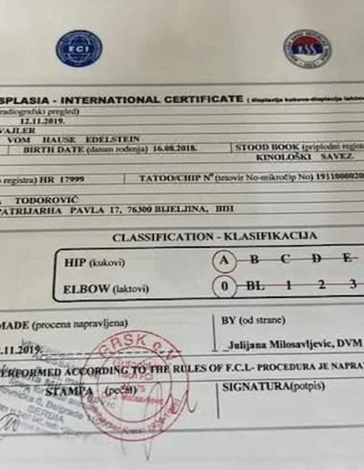 puma von hause edestein documento displasia