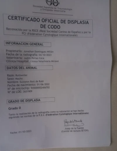 scorpion rott de rubi documento displasia codo