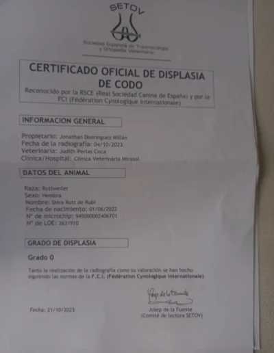 schira rott de rubi documento displasia codo
