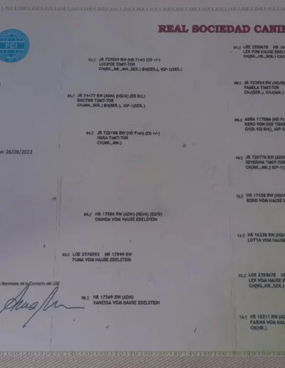 scorpion rott de rubi documento pedigree